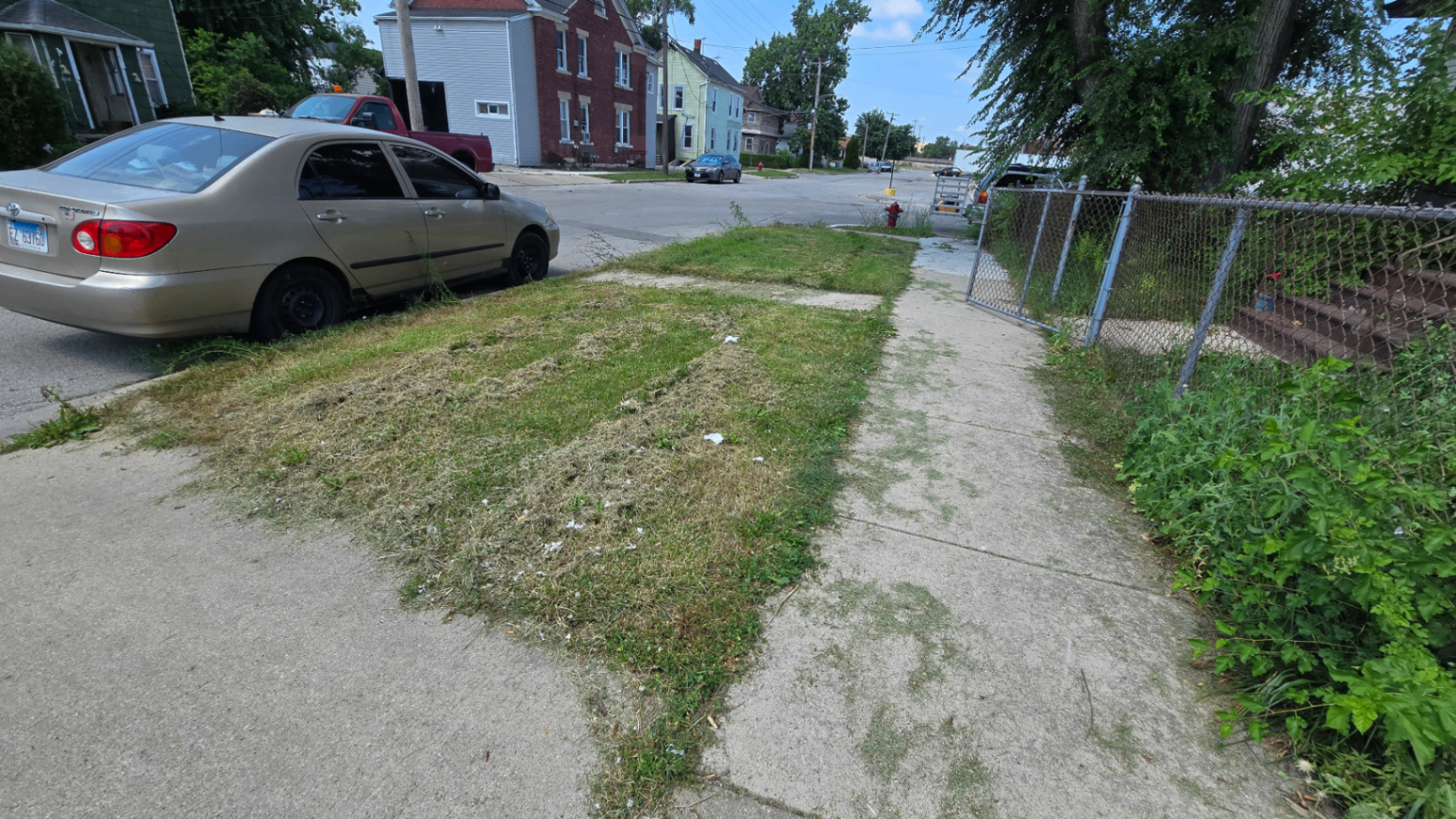Freshly cut parkway and cleared sidewalk edge after weed removal and mowing