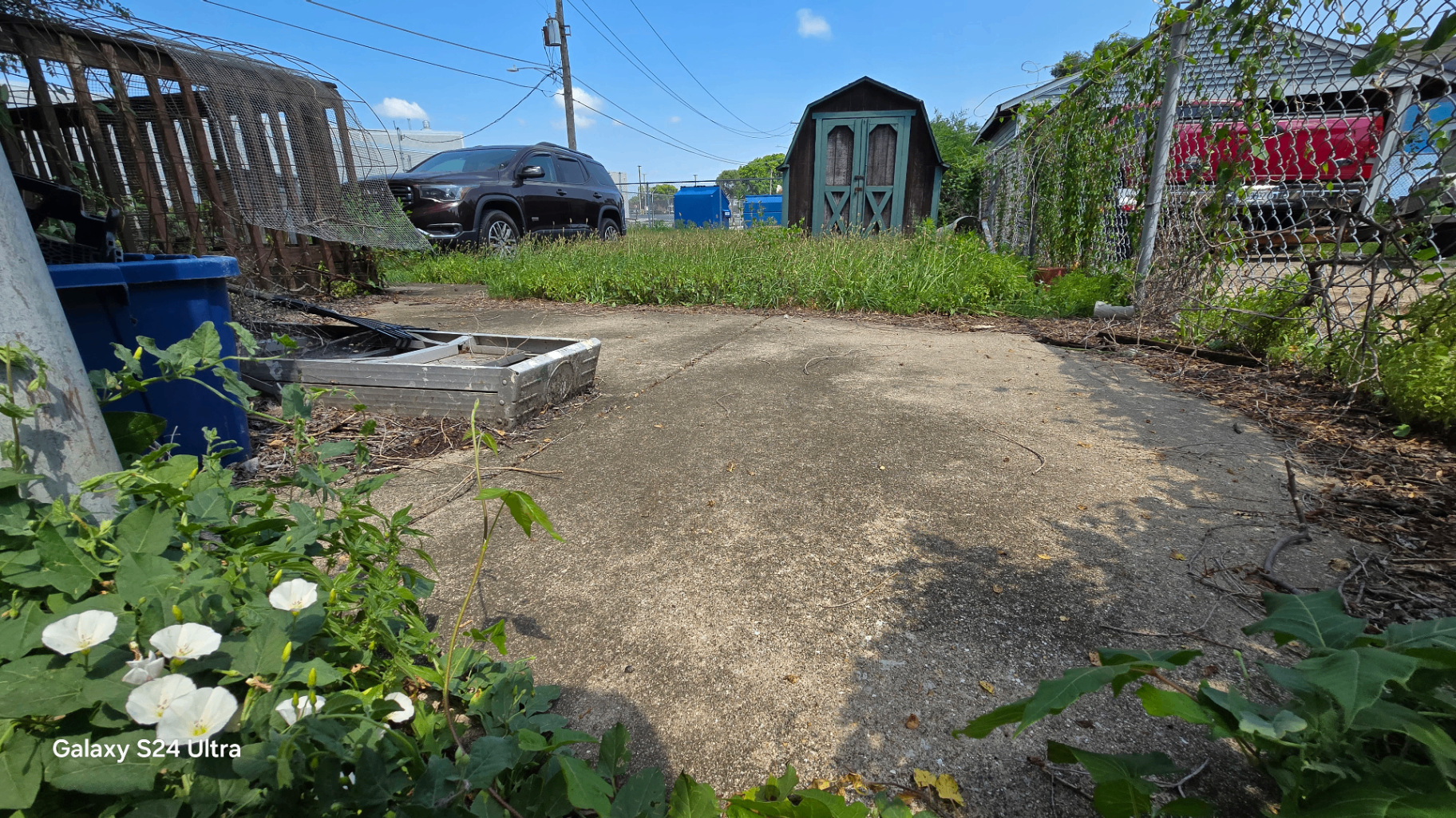 Backyard concrete pad and shed surrounded by tall weeds before a full property cleanup